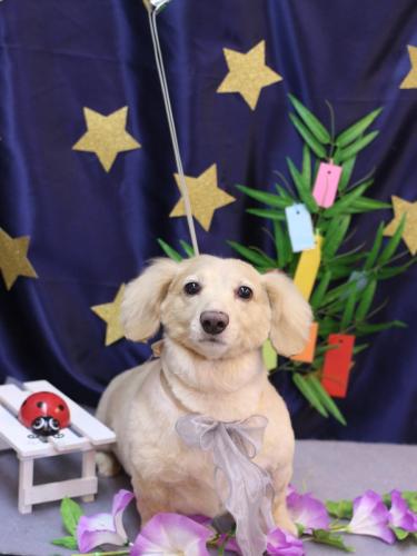 20230712テヤンくん